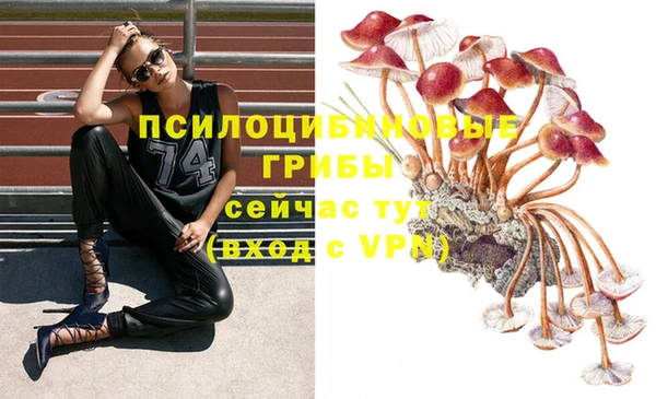 ГАЛЛЮЦИНОГЕННЫЕ ГРИБЫ Баксан