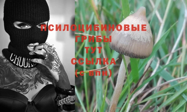 ГАЛЛЮЦИНОГЕННЫЕ ГРИБЫ Баксан