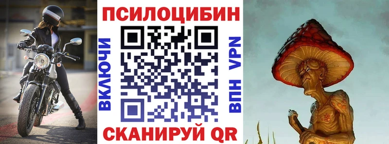 купить наркотик  shop клад  Галлюциногенные грибы мицелий  Губаха 